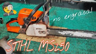 STIHL MS 250 PROBLEMA DE ENGRASE [upl. by Dygal]