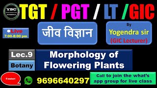 TGTPGTLTGIC Lecture9 Biology TGT PGT LT GIC जीवविज्ञान Morphology of F plants [upl. by Ahsiakal]