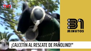 ¡Calcetín con Rombos Man al rescate de Pañolinoquot  31 Minutos [upl. by Edwyna957]