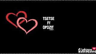 Tsetse ft opozit ХАЙР [upl. by Coop756]