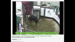 Ballymahon Mart Live Streaming [upl. by Sandry]