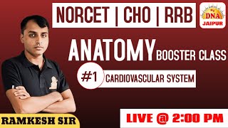 1 CARDIOVASCULAR SYSTEM  ANATOMY  BY RAMKESH SIR  norcet cho rrb nursingeducation [upl. by Ifok]