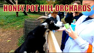 Honey Pot Hill Orchards  50 Boon Rd Stow Massachusetts [upl. by Iadrahc]