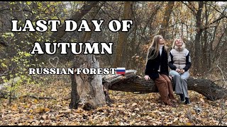 a cosy autumn vlog 🍂 countryside  Russia cosyvlog autumn forestsounds [upl. by Ardnued]