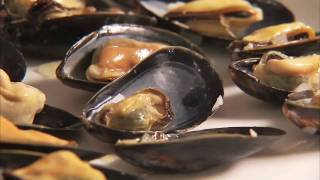 PEI Mussels On The Half Shell [upl. by Nuaj514]