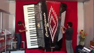 Duo Feste ThoSte with guinnes accordeon Castelfidardo [upl. by Ecneps]