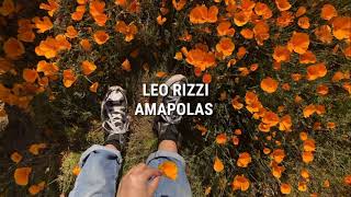 Amapolas  Leo Rizzi  letra [upl. by Nestor308]