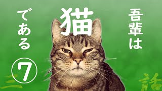 【朗読】吾輩は猫である7／夏目漱石 [upl. by Akenn]