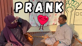 Shahdi prank with cute brother 😅 prank Jiqvlog [upl. by Oilicec667]