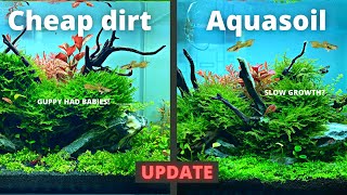 CHEAP DIRT vs EXPENSIVE AQUASOIL 2 MONTH UPDATE [upl. by Noorah]