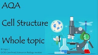 The whole of CELL STRUCTURE AQA Biology or combined science 91 revision for paper 1 [upl. by Ashton]