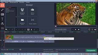 Обрезка видео в программе Movavi Video Editor [upl. by Sudbury]