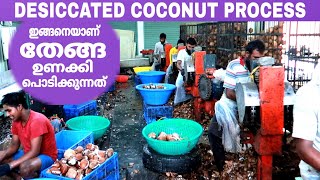 തേങ്ങ ഉണക്കി പൊടിക്കുന്ന മനോഹരമായ കാഴ്ച്ച😍  Desiccated Coconut Powder Process FZ ROVER  Malayalam [upl. by Anoi318]