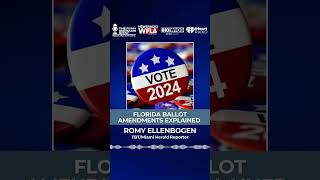 Florida Ballot Amendments Explained election2024 election [upl. by Aikan332]