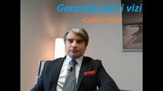 La garanzia per vizi nel Codice Civile [upl. by Echikson]