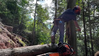 Logging Techniques That EVERY Logger Should Know [upl. by Enos]