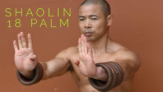 Shaolin 18 Palm [upl. by Ocnarfnaig]