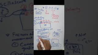 Equilibrium potential for an ion  شرح لمادة الفيسيولوجي بالعربي [upl. by Odnavres]