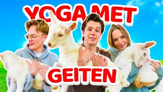 Wij Deden Yoga Met Geiten [upl. by Edrei]