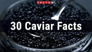 30 Caviar Facts About The Roe From The Sturgeon Beluga [upl. by Madlin]