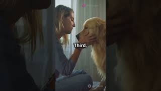 Top 5 Dog Movies Every Dog Lover Must Watch [upl. by Eadwine570]