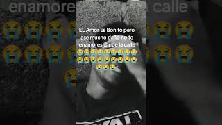 viralvideo dúo moluscoylosreyesdelapunta comedy rochyrdcuantopeluche canserbero [upl. by Eadahs]