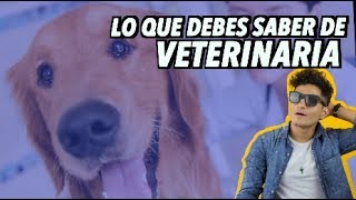 COMO ES ESTUDIAR VETERINARIA [upl. by Dorn]