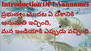 History of introductions of Penaeid shrimp LVannamei Neworldlife [upl. by Bev]