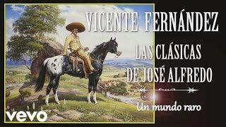 Vicente Fernández  Un Mundo Raro  Cover Audio [upl. by Ddahc]