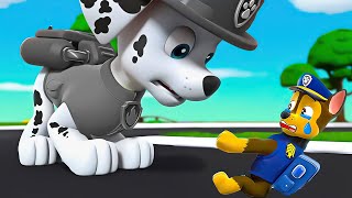 PAW Patrol The Mighty Movie  Mighty Pups On A Roll Nick Jr HD [upl. by Chase336]