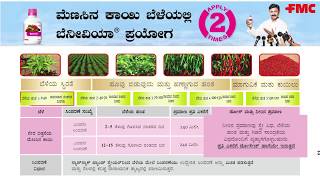 Benevia® in Chili Kannada  FMC India [upl. by Saerdna592]