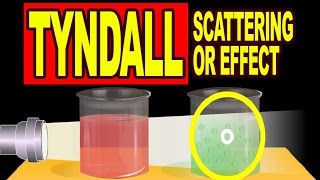 Tyndall Scattering or Tyndall Effect  Video Explanation [upl. by Deer993]