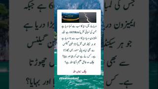 SUBAHANALLAH 🙏 Right quotes motivation urdu explore viralvideo ytshorts unfreezacount yt yt [upl. by Seugirdor]