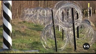 Finland Closes Russian Border Over Migrant Influx Estonia Could Follow  VOANews [upl. by Sirrot]