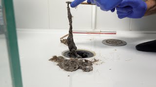 How to unclog and clean your shower drain easily [upl. by Thoer922]