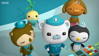 Octonauts And the water bears [upl. by Aneleairam735]