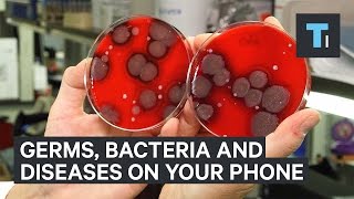 Germs bacteria and diseases living on your phone [upl. by Clementis]