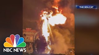 Disneyland parkgoers evacuated after firebreathing dragon prop becomes engulfed in flames [upl. by Akem]