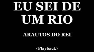 EU SEI DE UM RIO  ARAUTOS DO REI PLAYBACK [upl. by Etnoj]