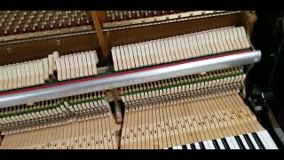 Sauter Microtone Piano [upl. by Roch900]