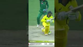 Australia All Fall of Wickets Against Pakistan Bowlers PAKvAUS SportsCentral Shorts PCB M7C2K [upl. by Salahi]