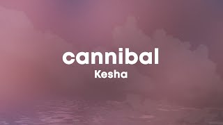 Kesha  Cannibal Lyrics [upl. by Adnesor]