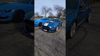 The GT500KR is unreal 😍 music car mustang gt500 gt350 ford [upl. by Janot]