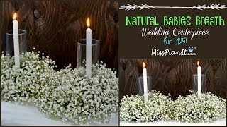 DIY Natural Babies Breath Wedding Centerpiece for 15  Dollar Tree DIY  DIY Tutorial [upl. by Kaylyn410]