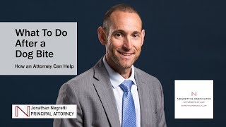 What To Do After a Dog Bite How an Attorney Can Help [upl. by Htebesile]