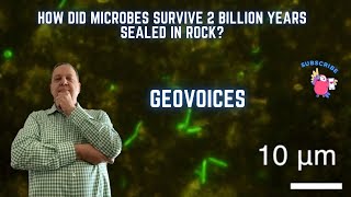 How did microbes survive 2 billion years sealed in rock [upl. by Lotson]