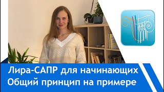 ЛираСАПР с нуля Общий принцип расчета на примере расчета Резервуара задача для студентов [upl. by Idnal410]