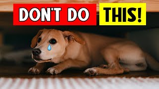 10 Deadly Mistakes Dog Owners Make – Avoid Them Now [upl. by Kciredor29]