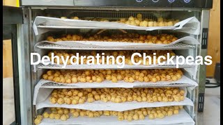 Dehydrating Chickpeas  Easy Snacks [upl. by Ellenij]