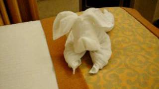 Carnival splendor room steward making a towel dog [upl. by Irmine]